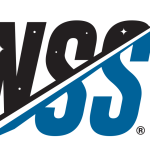 NSS Governance